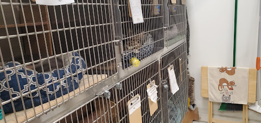 Pet Supply Store «PetSmart», reviews and photos, 4465 US-14, Crystal Lake, IL 60014, USA