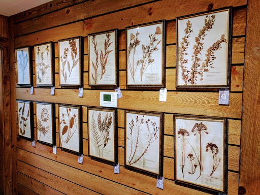 Electronics Store «Deep Water Electronics», reviews and photos, 131 E Woodin Ave, Chelan, WA 98816, USA