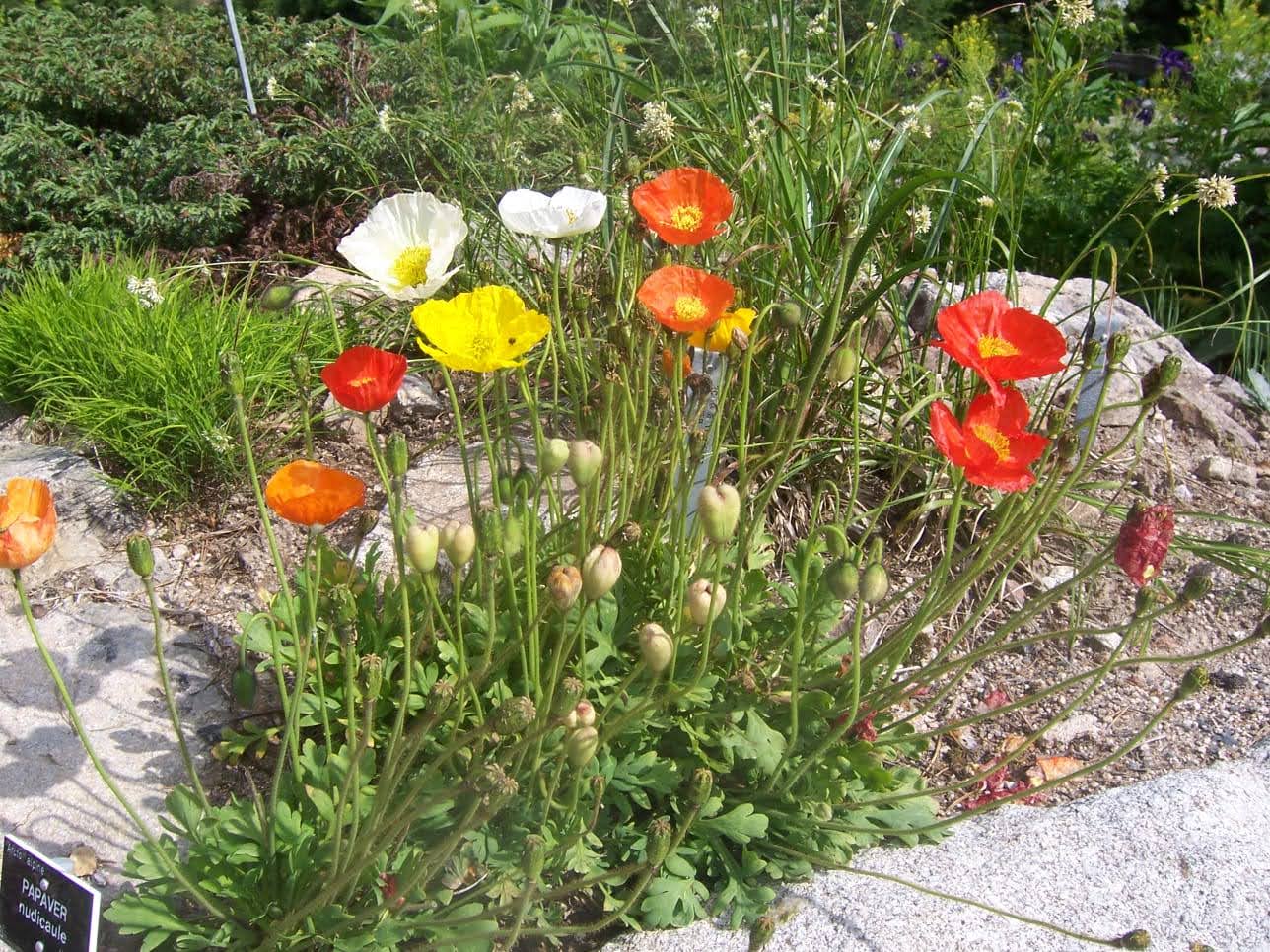 Photo n° 16 de l'avis de Christiane.e fait le 15/06/2021 à 17:16