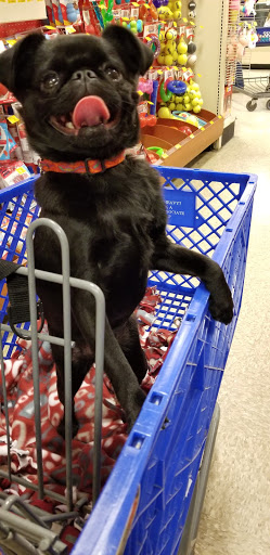 Pet Supply Store «PetSmart», reviews and photos, 4485 24th Ave, Fort Gratiot Twp, MI 48059, USA