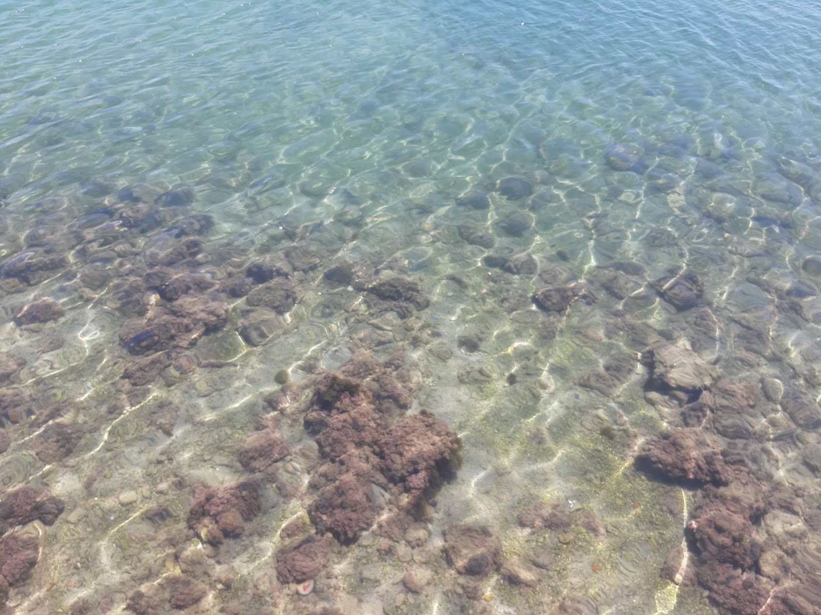 Foto av Selinia beach - populär plats bland avkopplingskännare