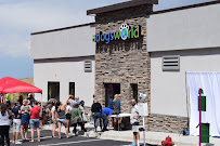 A Dog's World - Photo 8 - Car repair in Littleton, CO, Highlands Ranch