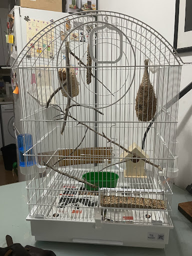 Piensos Salvà - Llucmajor