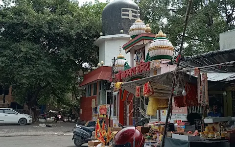 Shri Laxmi Narayan Mandir image