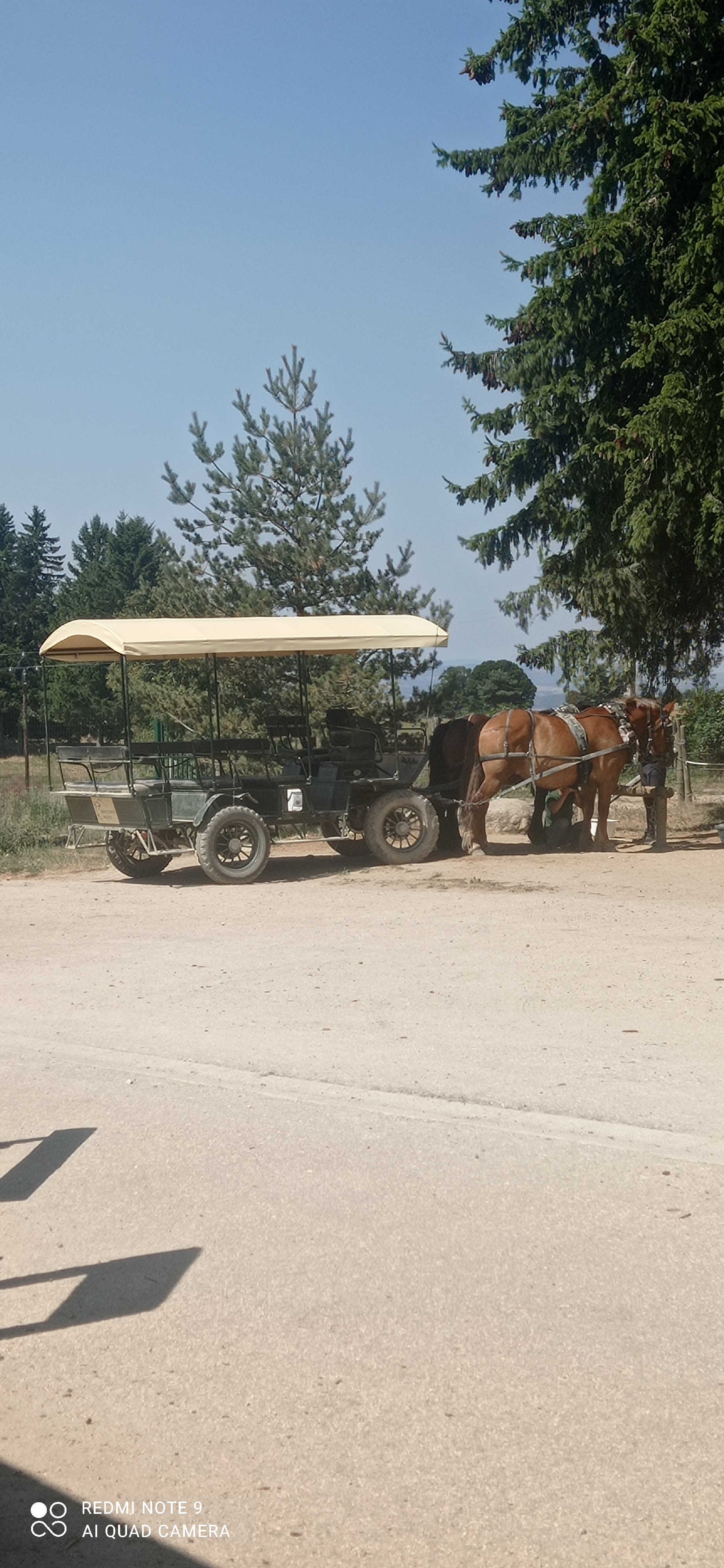 Photo n° 1 de l'avis de Celine.a fait le 15/08/2022 à 17:43