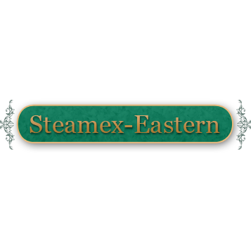 Steamex Eastern of Toledo in Toledo, Ohio