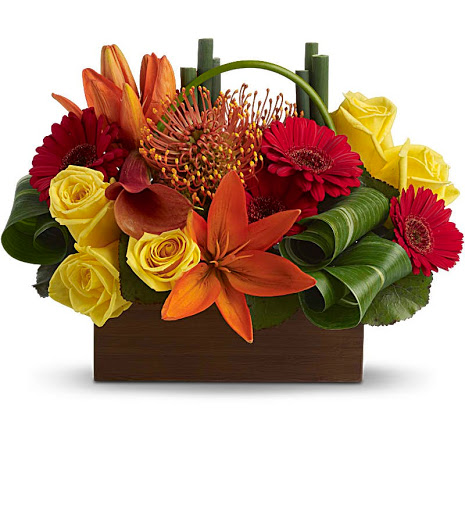 Florist «House Of Arnold Florist», reviews and photos, 4109 Annapolis Rd, Baltimore, MD 21227, USA