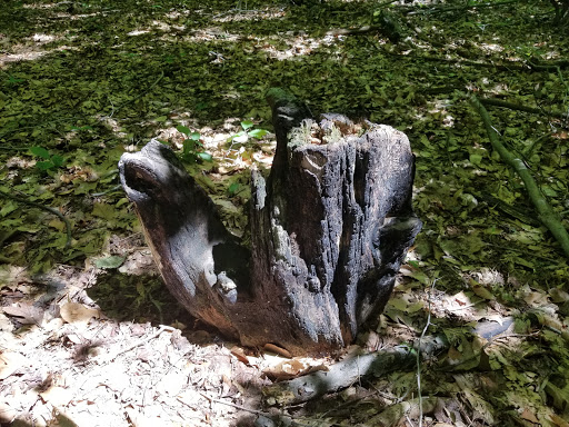 Park «Fairfax Villa Park», reviews and photos, 11399 Park Dr, Fairfax, VA 22030, USA