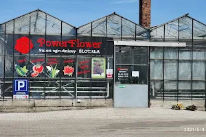 Power Flower Salon Ogrodniczy Ślotała image