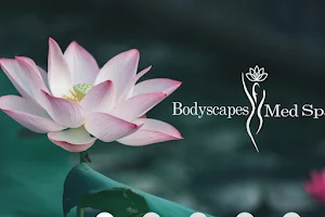 Bodyscapes Med Spa image
