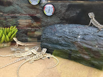 Petco - Photo 4 - Car repair in Fair Oaks, CA, Roseville