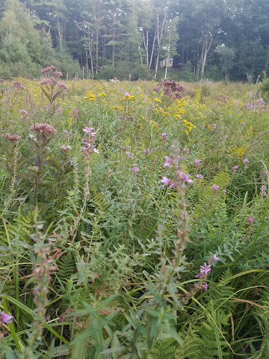 RV Park «Hidden Valley RV & Golf Park», reviews and photos, 81 Damren Rd, Derry, NH 03038, USA