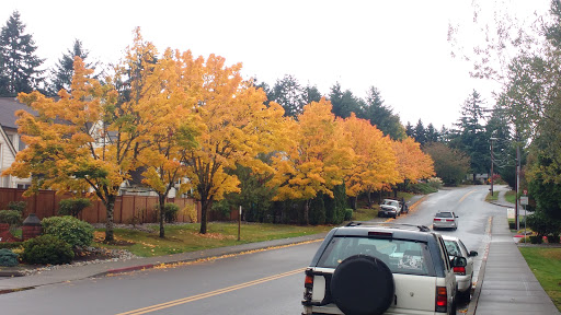 Park «Thornton A. Sullivan Park», reviews and photos, 11405 Silver Lake Rd, Everett, WA 98208, USA