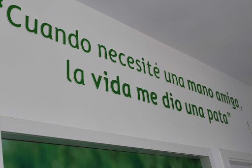 Clínica Veterinaria Sanantón en La Muela