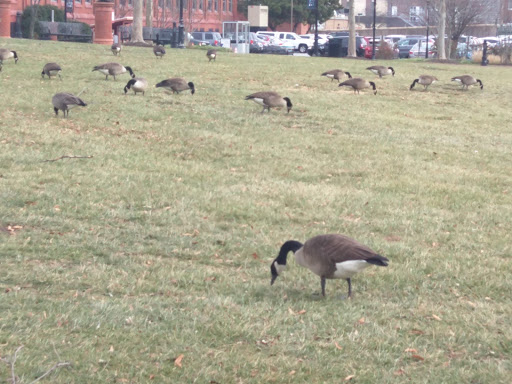 Park «Tubman Garrett Riverfront Park», reviews and photos, 815 Justison St, Wilmington, DE 19801, USA