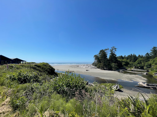 Kalaloch Lodge Rainforest Trail