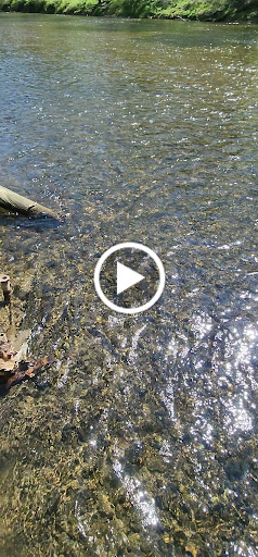 Park «Patapsco State Park», reviews and photos, 1101 Hilton Ave, Catonsville, MD 21228, USA