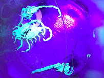 Pest Control Inc - Photo 7 - Car repair in Las Vegas, NV, Las Vegas