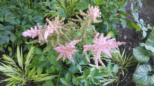 Museum «Mashpee Wampanoag Indian Museum», reviews and photos, 414 Main St, Mashpee, MA 02649, USA