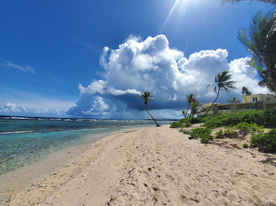 Pelican Cove beach