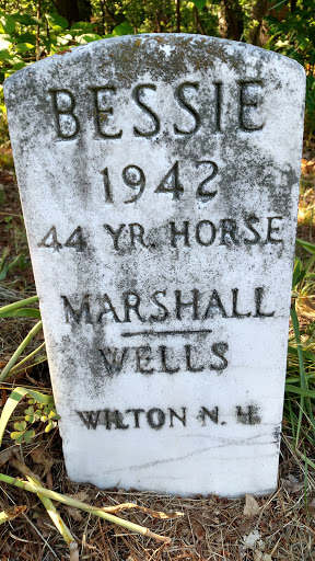 Pet Adoption Service «Humane Society for Greater Nashua», reviews and photos