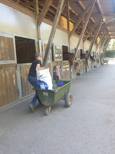 Opinii despre Ecole d'équitation în Montreux - Schule