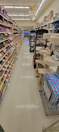 Pet Supplies Plus San Antonio - San Pedro - Photo 7 - Car repair in San Antonio, TX, Dallas