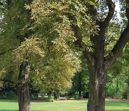 Heinrich-Lassen-Park photo