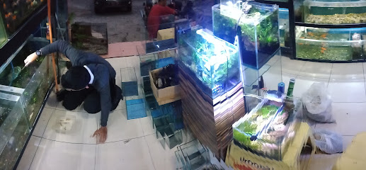 Almira Fish Shop