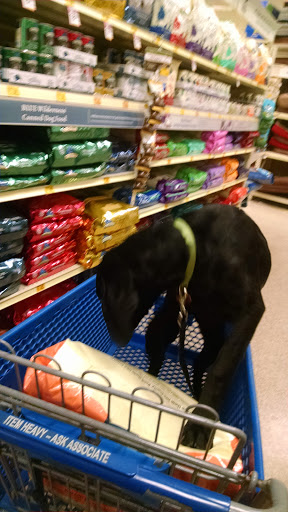 Pet Supply Store «PetSmart», reviews and photos, 4300 E Alameda Ave, Glendale, CO 80246, USA