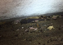 NiceBats - Photo 2 - Car repair in Canton, SD, Sioux Falls