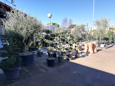 Gamm vert à Nieul-sur-Mer
