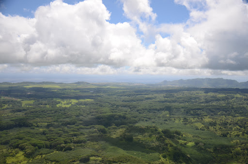 Gym «Planet Fitness», reviews and photos, 53 Marrows Rd, Newark, DE 19713, USA