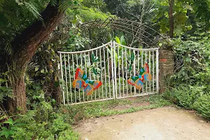 Butterfly Park And Research Centre Jahangirnagar University image