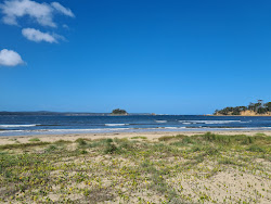 Foto di Corrigans Beach - luogo popolare tra gli intenditori del relax