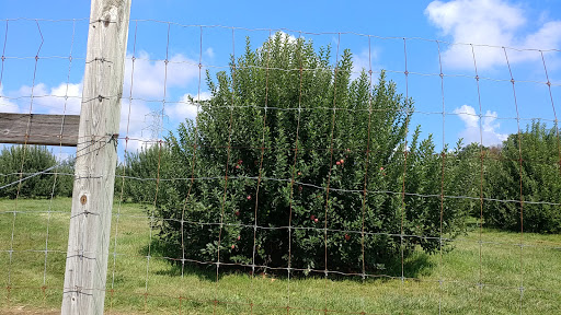 Orchard «Riamede Farm», reviews and photos, 122 Oakdale Rd, Chester, NJ 07930, USA