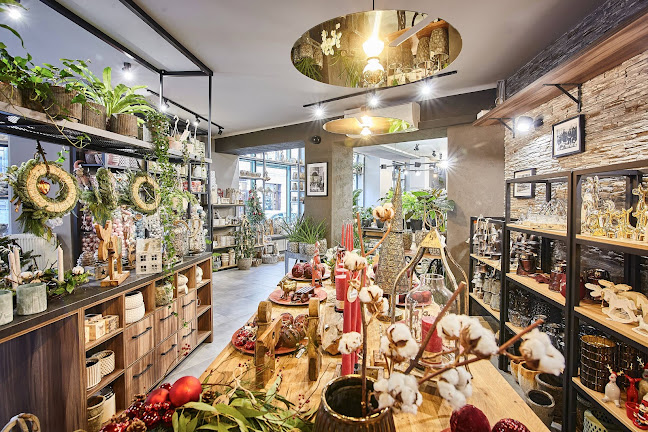 Karmelicka 37, 31-128 Kraków