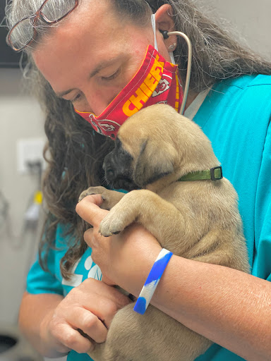 Veterinarian «Pet Vet Supply», reviews and photos, 1215 E Lockheed Dr, Oklahoma City, OK 73110, USA