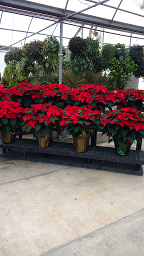 Florist «Pinters Flowerland», reviews and photos, 6830 Rawsonville Rd, Belleville, MI 48111, USA