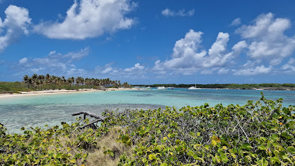 AWAK Guadeloupe Croisières à Petite-Terre Saint-François