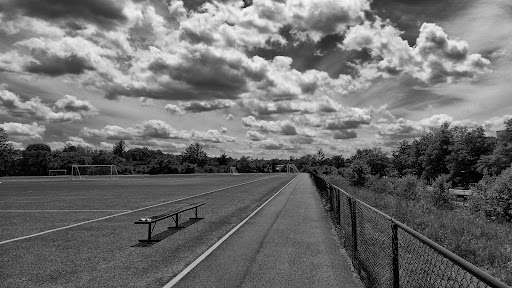 Park «Danehy Park», reviews and photos, 99 Sherman St, Cambridge, MA 02138, USA