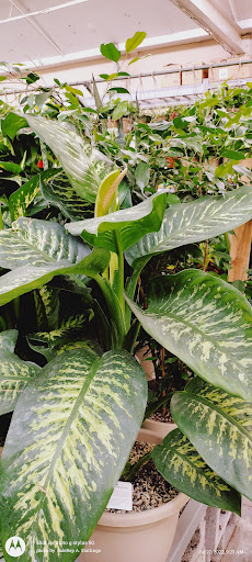 Home Improvement Store «The Home Depot», reviews and photos, 845 W Shaw Ave, Clovis, CA 93612, USA