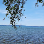 Photo n°9 de l'avis de Silvia.a fait le 22/05/2022 à 05:47 sur le  AgriRistoro Il Casaletto à Trevignano Romano