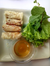 Rouleau de printemps du Restaurant vietnamien Étoile d'Asie à Lyon - n°16
