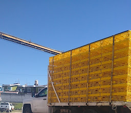 Agropecuaria Airplane, S.P.R. of R.L. photo