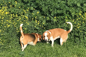 The Warmies Dog Off Leash Area