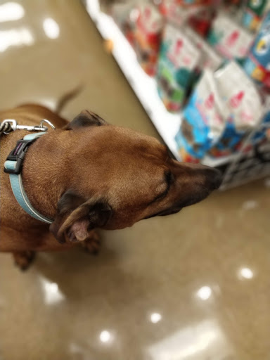 Pet Supply Store «Perk Valley Pet Eatery», reviews and photos, 130 W Main St #102-104, Trappe, PA 19426, USA