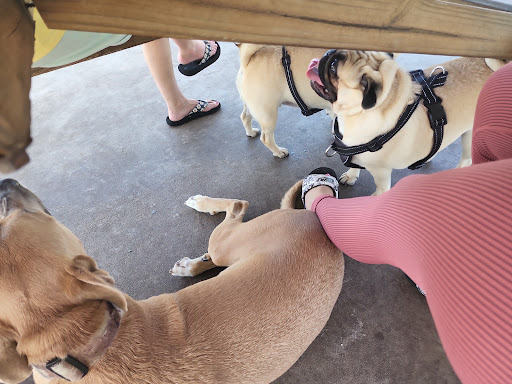 Park «Creekwood Park», reviews and photos, 7025 44th Ave E, Bradenton, FL 34205, USA