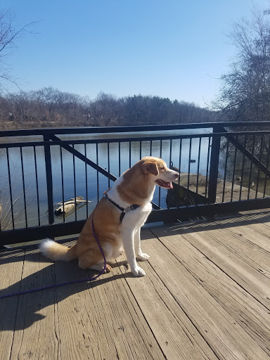 Park «Nature Center At Shaker Lakes», reviews and photos, 2600 S Park Blvd, Cleveland, OH 44120, USA