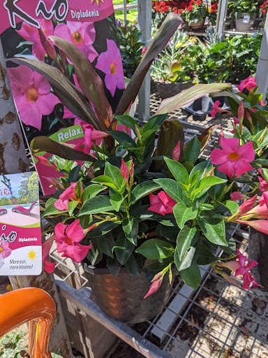 Home Improvement Store «The Home Depot», reviews and photos, 1385 7th St E, Monticello, MN 55362, USA